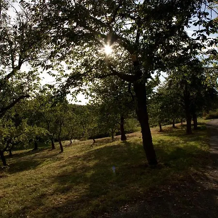 מלון Engelhard Garni