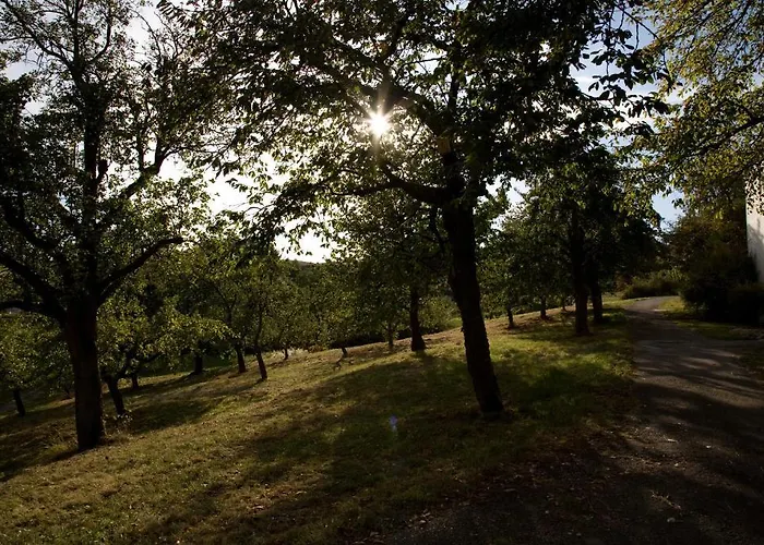 Hotel Engelhard Garni